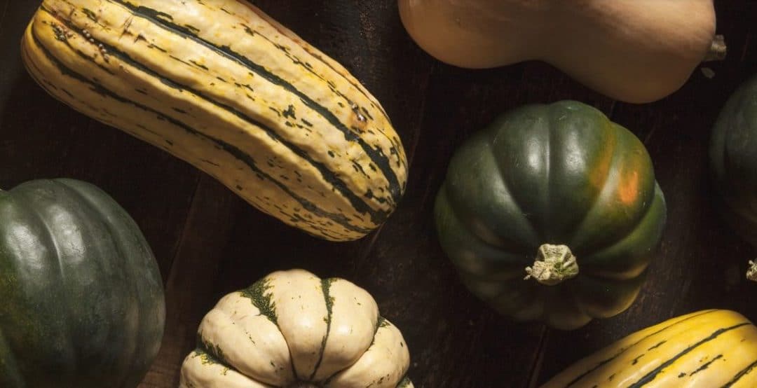 In Season: Winter Squash