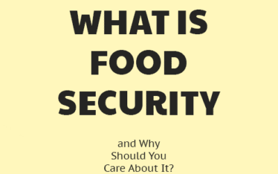 What is Food Security?